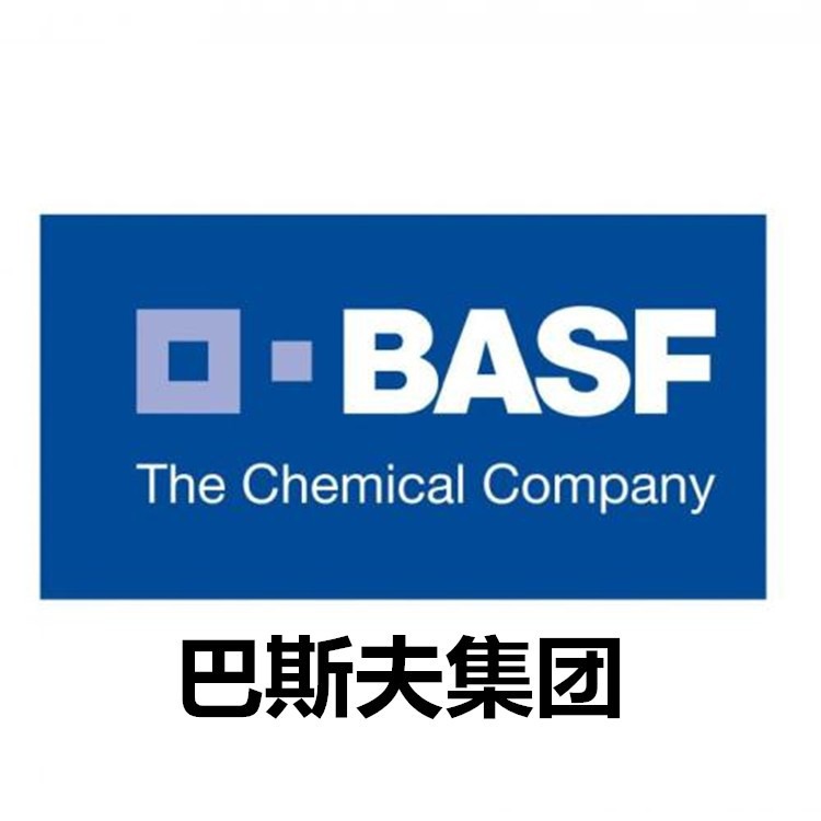 BASF SE